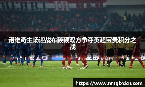 诺维奇主场迎战布赖顿双方争夺英超宝贵积分之战