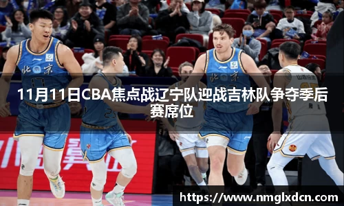 11月11日CBA焦点战辽宁队迎战吉林队争夺季后赛席位